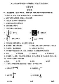 江苏省苏州市振华中学2023-2024学年九年级上学期10月月考化学试卷