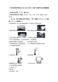 广东省深圳市龙岗区2023-2024学年九年级下册期中化学检测试题（含答案）