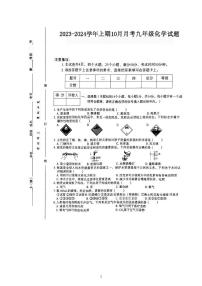 河南省驻马店市泌阳县2023-2024学年九年级上学期10月月考化学试题