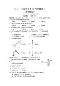 江苏省仪征市实验教育集团2023-2024学年九年级上学期10月质量抽测化学试卷（月考）