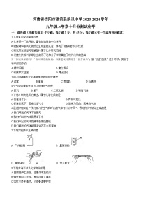 河南省信阳市淮滨县新里中学2023-2024学年九年级上学期10月月考化学试题