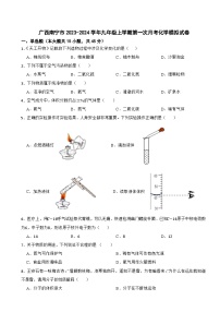 广西南宁市2023-2024学年九年级上学期第一次月考化学模拟试卷