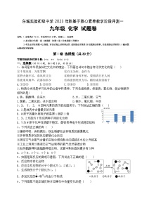 四川省广元市利州区东城实验学校2023-2024学年九年级上学期期中考试化学试卷