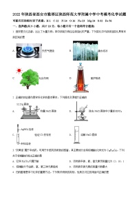 32科粤版·陕西省西安市雅塔区陕西师范大学附属中学中考模考化学