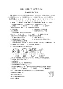 河南省郑州外国语中学2021-2022学年上学期期末考试九年级化学试卷