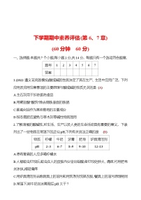 下学期期中素养评估(第6、7章) 试卷 2023-2024 沪教版 化学 九年级下册