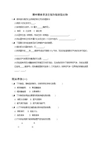 人教版九年级化学上册练习：期中期末串讲之碳和碳的氧化物