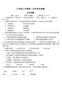 山东省聊城市文轩教育集团2023-2024学年九年级上学期10月月考化学试题