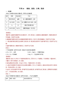 中考化学二轮复习核心考点培优训练专项10 检验、鉴别、分离、除杂（含解析）