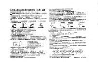 河南省信阳市平桥区新星学校2023-2024学年九年级上学期十月月考化学试题