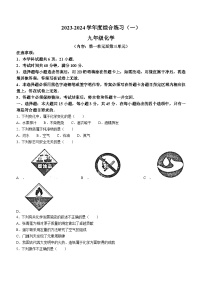 广东省茂名市信宜市2023-2024学年九年级上学期期中化学试题