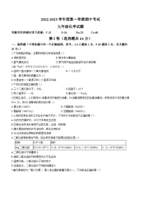 山东省济宁市微山县2022-2023学年九年级上学期期中化学试题