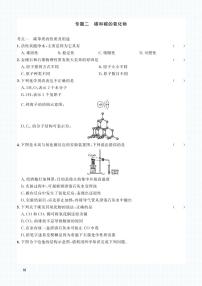 中考化学一轮复习专题训练集训：专题二 碳和碳的氧化物（2份打包，原卷版+答案版）