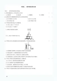中考化学一轮复习专题训练集训：专题二 碳和碳的氧化物（2份打包，原卷版+答案版）