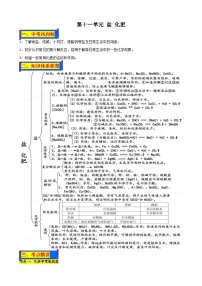 人教版中考化学一轮复习单元巩固精品讲义第十一单元 盐 化肥（含解析）