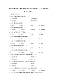 2023-2024学年上海市普陀区晋元中学九年级（上）月考化学试卷（10月份）