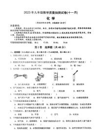 广西柳州市城中区2023-2024学年九年级上学期11月份期中教学质量抽测试化学试卷