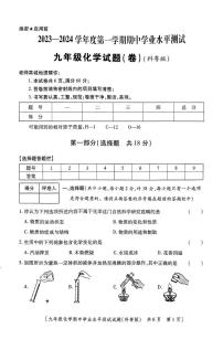 陕西省铜川市耀州区2023-2024学年九年级上学期期中学业水平测试化学试卷