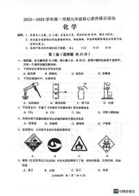 广东省佛山市顺德区第一次联盟考试2023-2024学年九年级上学期11月期中化学试题