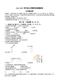 山东省临沂市兰陵县2021-2022学年九年级上学期期中化学试题