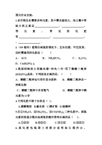 初中化学人教版九年级下册课题2 化学肥料学案