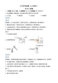 湖北省天门市华斯达学校2023-2024学年九年级上学期9月月考化学试题（二层次班）（解析版）