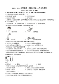 江苏省宿迁市沭阳县2023-2024学年九年级上学期10月月考化学试题