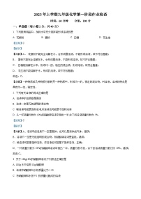 山东省泰安市新泰市宫里镇初级中学2023-2024学年九年级上学期第一次月考化学试题（解析版）