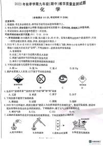 广西壮族自治区柳州市柳江区2023-2024学年九年级上学期11月期中化学试题