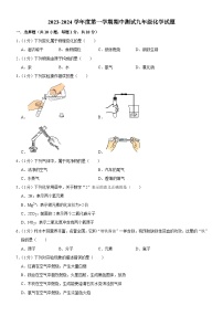 吉林省长春市榆树市太安乡中学校2023-2024学年九年级上学期11月期中化学试题