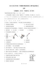 福建省厦门市外国语学校海沧附属学校2023-2024学年九年级上学期期中化学试题