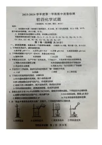 山东省青岛市莱西市2023-2024学年九年级上学期11月期中化学试题