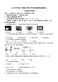 广东省清远市英德市2023-2024学年九年级上学期期中化学试题