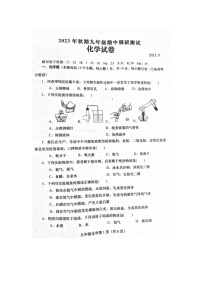 河南省南阳市镇平县2023-2024学年九年级上学期期中化学试卷