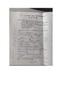 河北省保定市高碑店市2023-2024学年九年级上学期11月期中化学试题