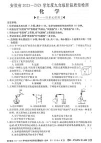 安徽省阜阳市太和县2023-2024学年九年级上学期11月期中化学试题