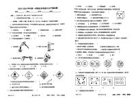 广东省肇庆市颂德学校2023-2024学年九年级上学期期中考试化学试题