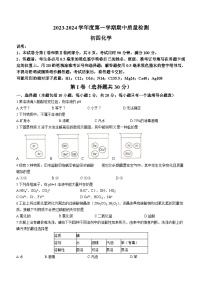 山东省烟台市牟平区2023-2024学年九年级上学期期中化学试题