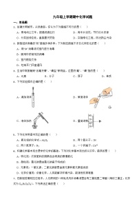 福建省泉州市2023年九年级上学期期中化学试卷（附答案）