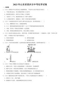 2023年山东省中考化学试卷全套附参考答案