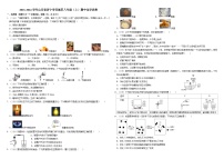 2023-2024学年山东省济宁市任城区八年级（上）期中化学试卷