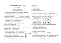 山东省东营市东营区联考2023-2024学年八年级上学期11月期中化学试题