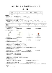 湖南省邵阳市新邵县迎光乡中学2023-2024学年九年级上学期期中考试化学试卷