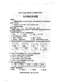 山东省泰安市肥城市2023-2024学年九年级上学期期中化学试卷