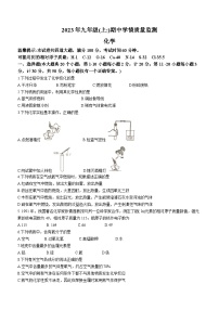 湖南省邵阳市新邵县2023-2024学年九年级上学期期中化学试题