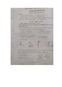 广东省广州市广州市南武教育集团期中联考2023-2024学年九年级上学期11月期中化学试题