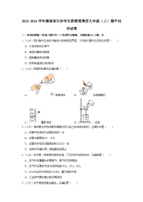 2023-2024学年湖南省长沙市长郡教育集团九年级（上）期中化学试卷