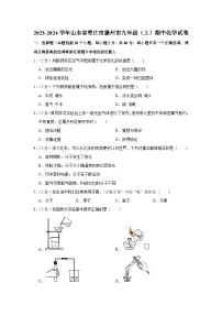 2023-2024学年山东省枣庄市滕州市九年级（上）期中化学试卷