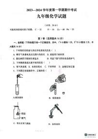 山东省济宁市微山县实验学校联考2023-2024学年九年级上学期11月期中化学试题