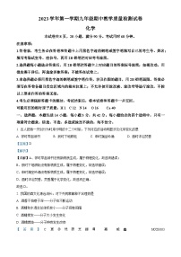 广东省广州市荔湾区广雅集团联考2023-2024学年九年级上学期期中化学试题（解析版）